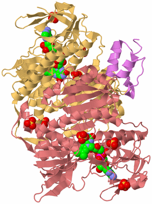 Image Biological Unit 4