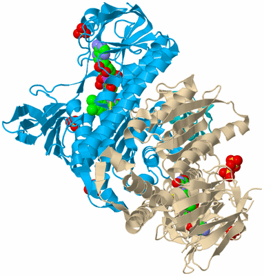 Image Biological Unit 5