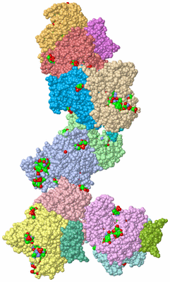 Image Asym. Unit - sites