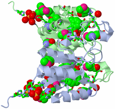 Image Asym./Biol. Unit - sites