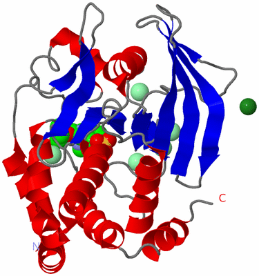 Image Asym./Biol. Unit