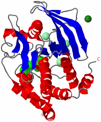 Image Asym./Biol. Unit