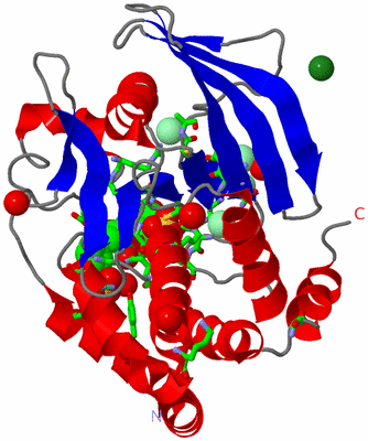 Image Asym./Biol. Unit - sites