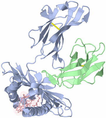 Image Biological Unit 1