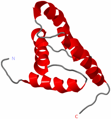 Image NMR Structure - model 1