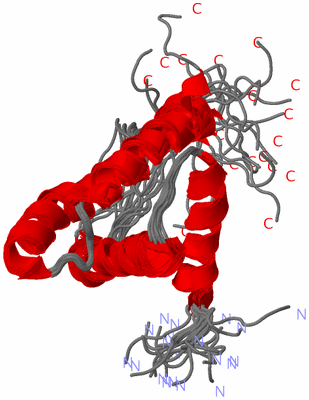 Image NMR Structure - all models