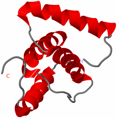 Image NMR Structure - model 1