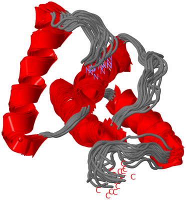 Image NMR Structure - all models