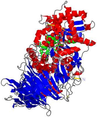 Image Asym./Biol. Unit - sites