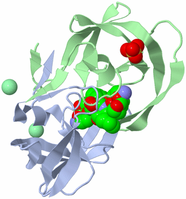 Image Biological Unit 1