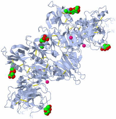 Image Biological Unit 1