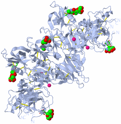 Image Biol. Unit 1 - sites