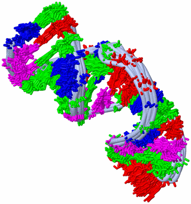 Image NMR Structure - all models
