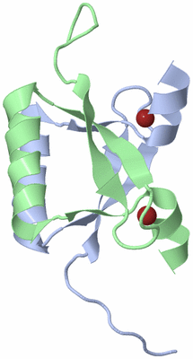 Image NMR Structure - model 1