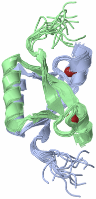 Image NMR Structure - all models