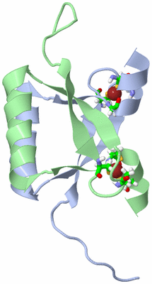 Image NMR Structure - model 1, sites