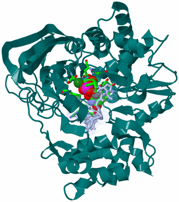 Image Asym./Biol. Unit - sites