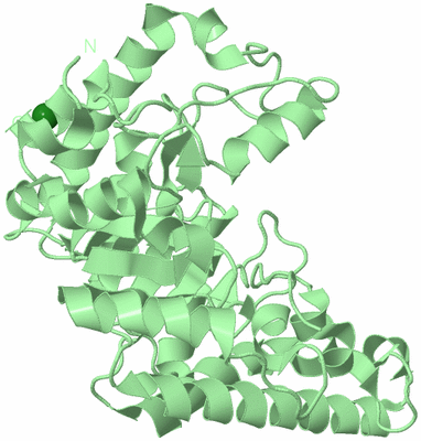 Image Biological Unit 2