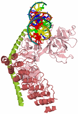 Image Asym./Biol. Unit