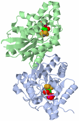 Image Asym./Biol. Unit