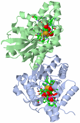 Image Asym./Biol. Unit - sites