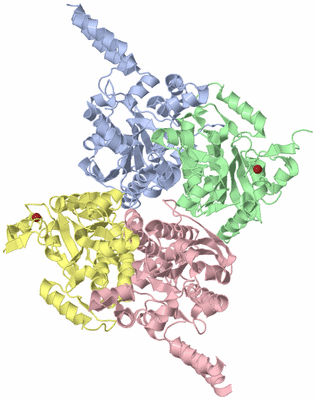 Image Asym./Biol. Unit