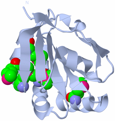 Image Biological Unit 1