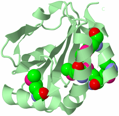 Image Biological Unit 2