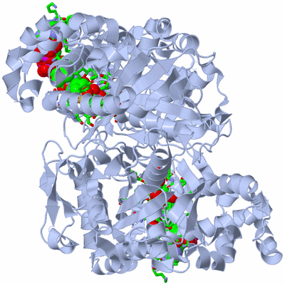 Image Biol. Unit 1 - sites