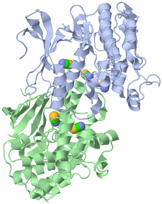 Image Asym./Biol. Unit