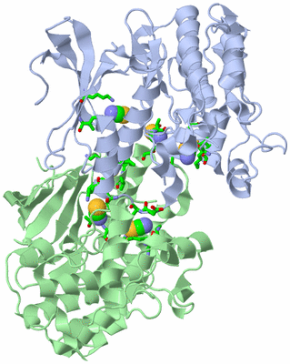 Image Asym./Biol. Unit - sites