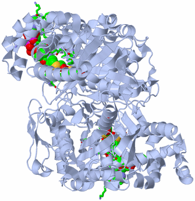 Image Biol. Unit 1 - sites