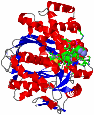 Image Asym. Unit - sites