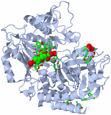 Image Biol. Unit 1 - sites