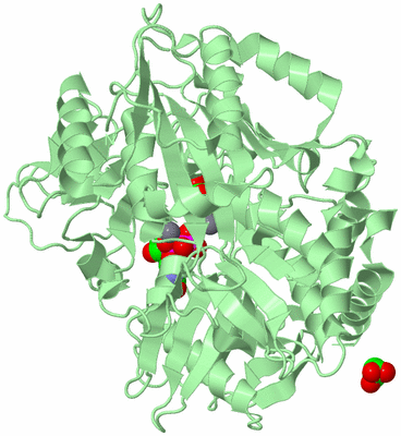 Image Biological Unit 2