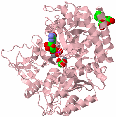 Image Biological Unit 3