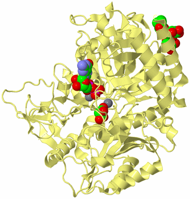 Image Biological Unit 4