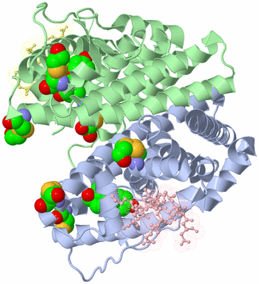 Image Asym./Biol. Unit