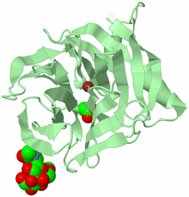 Image Biological Unit 2