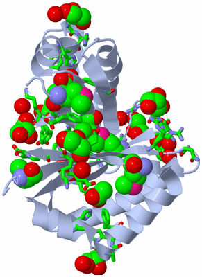 Image Biol. Unit 1 - sites