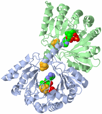 Image Asym./Biol. Unit