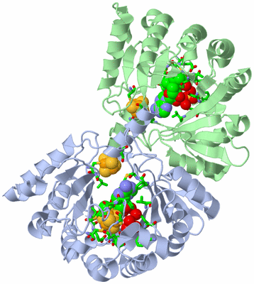 Image Asym./Biol. Unit - sites