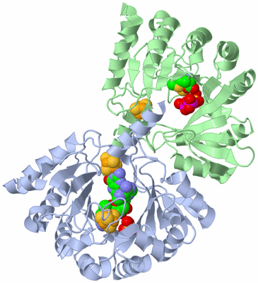 Image Asym./Biol. Unit