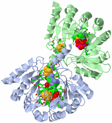 Image Asym./Biol. Unit - sites