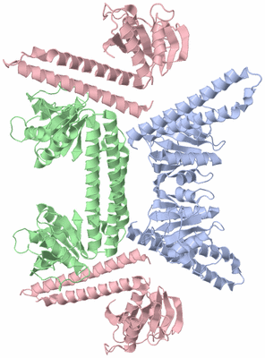 Image Biological Unit 3