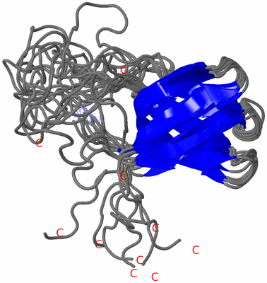 Image NMR Structure - all models