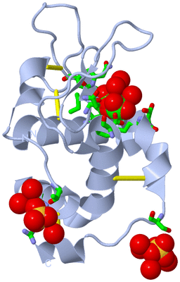 Image Biol. Unit 1 - sites