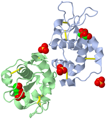 Image Biological Unit 3