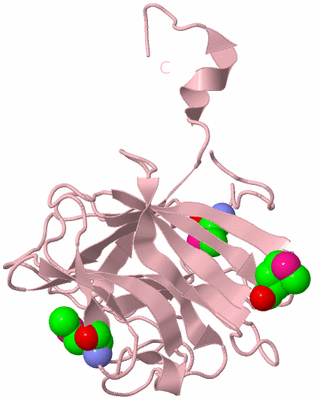 Image Biological Unit 3