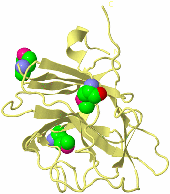 Image Biological Unit 4